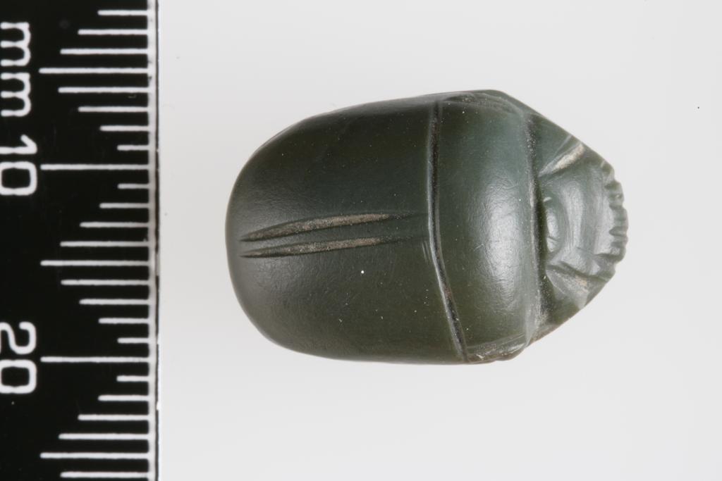 An image of Scarab