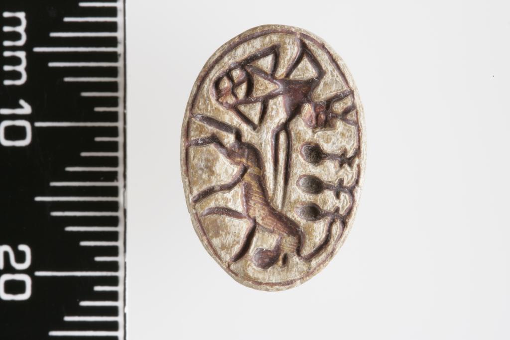 An image of Scarab. Inscribed. Production Place/Find Spot: Egypt. Depth mm, length mm, width mm.