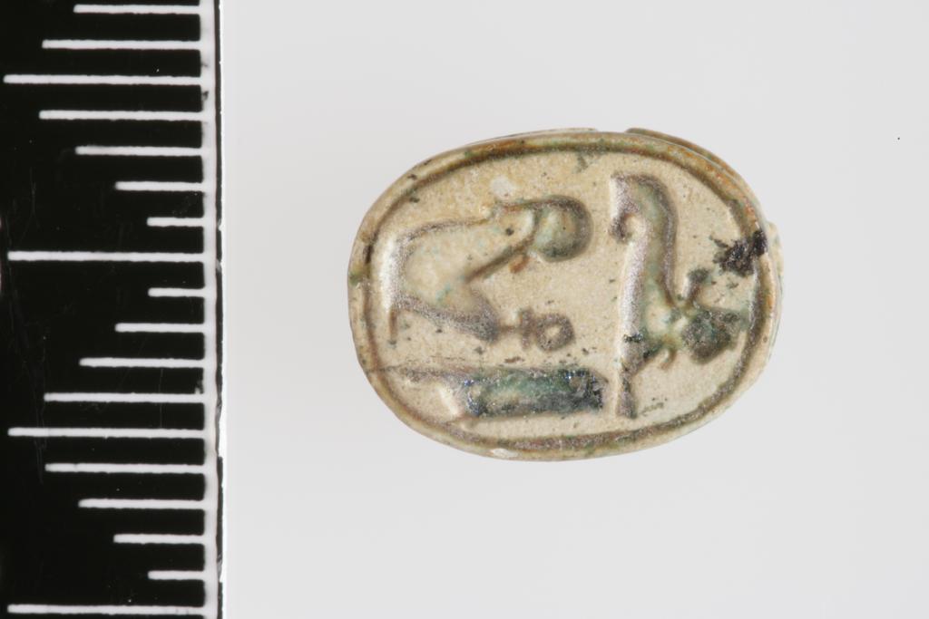 An image of Scarab