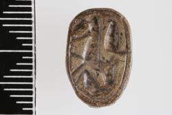 An image of Scarab