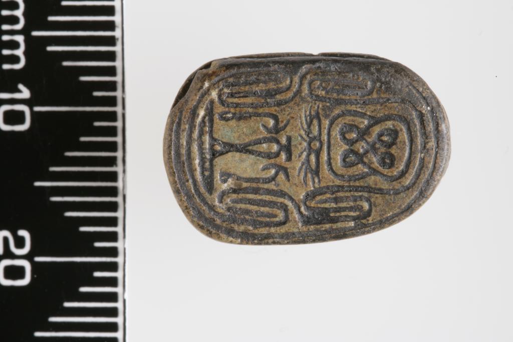 An image of Scarab