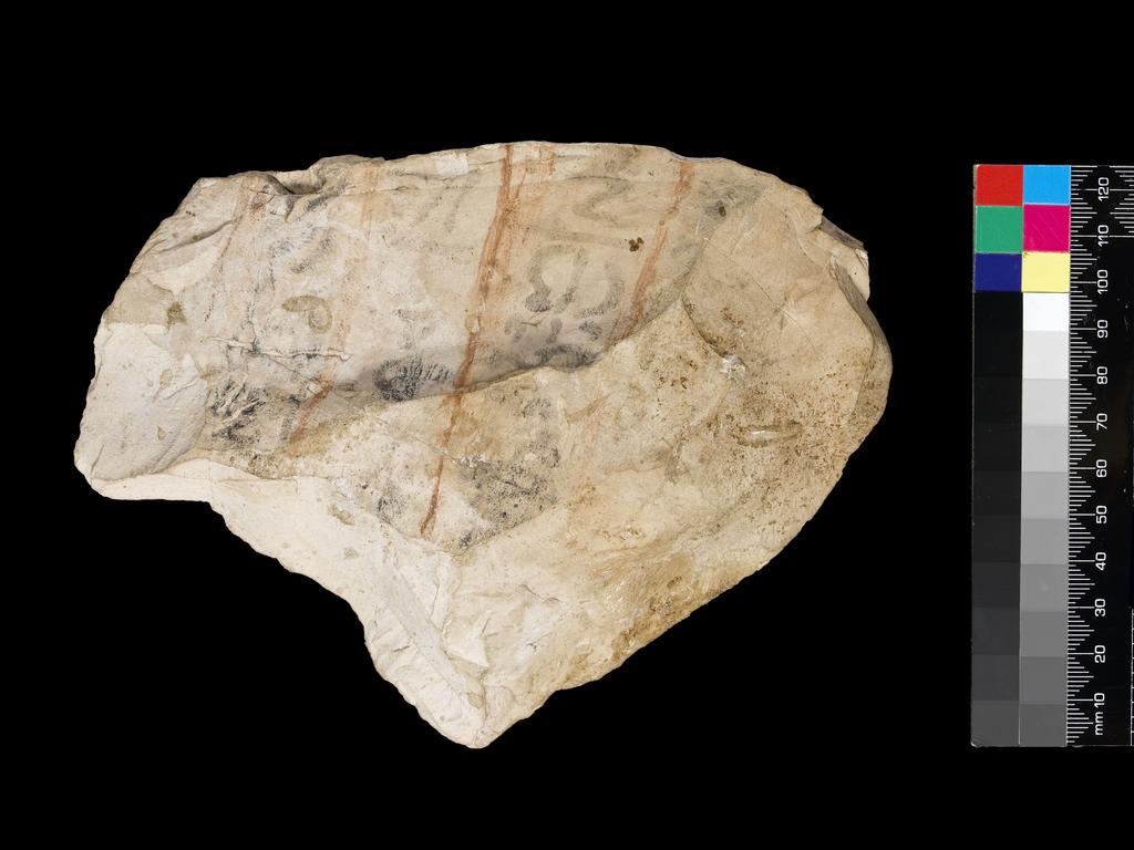 An image of Written Document. Ostracon, figured. Quail chicks on one side, inscribed on other side. Production Place/Find Spot: Egypt. Limestone, length 0.127 m, width 0.172 m. Nineteenth Dynasty. New Kingdom.