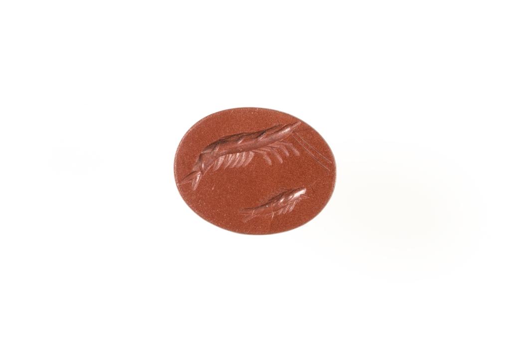 An image of Engraved gems/Ringstone. A shrimp and small fish both in profile to the left. Intaglio cutting, red jasper, 12 mm x 9 mm, circa 0-circa 200 AD. Roman Imperial.
