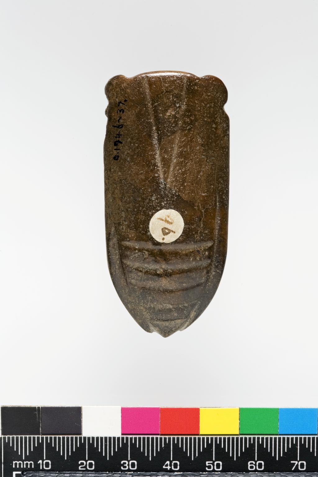 An image of Carving. Brown jade with altered areas, carved in the shape of a cicada with simple lines. Two perforations drilled on the top edge between the eyes. Nephrite, length 6.2, cm, width 2.9 cm, 1368-1644 AD, Chinese.