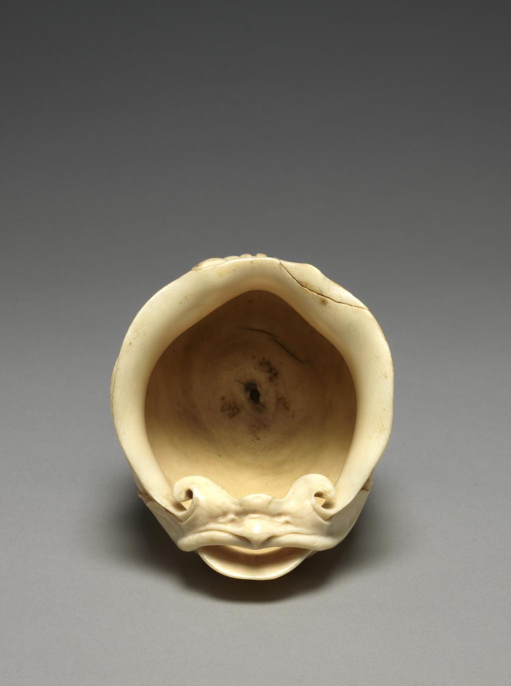 An image of Sculpture / Cup or pouring vessel. Possibly made in Prague, by Nikolaus Pfaff (c.1556- before 1612). Previously considered to be by a member of the van Vianen family. In the form of an wide-mouthed shell with one side higher than the other, and its narrow lower end resting on the back of a rabbit crouching on a flat almost circular base. Over the top of the higher side is a narrow grotesque owl mask with curling ear tufts, and long flaps extending over the sides, which creates a mouth-like pouring lip. Below it is a long leaf which extends over shell-like lobes until it meets the back of the rabbit. Below the rim on the opposite side there is a grotesque male mask with a beard in the form of serrated leaf, with on each side two more serrated acanthus leaves overlapping each other. Carved and polished ivory, height, whole, 12.2 cm, width, whole, 9.0 cm, width, base, 4.3 cm, circa 1600-1610. Mannerism.