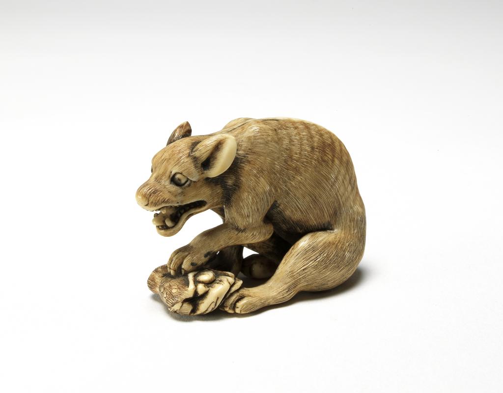 An image of Netsuke. Tomotada. A wolf or dog eating the leg of a deer. Ivory, carved and stained, height 3.5 cm, width 4.5 cm. Edo Period (1603-1868). Japanese.