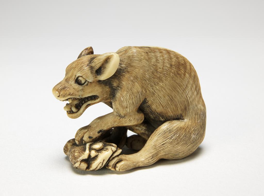 An image of Netsuke. Tomotada. A wolf or dog eating the leg of a deer. Ivory, carved and stained, height 3.5 cm, width 4.5 cm. Edo Period (1603-1868). Japanese.
