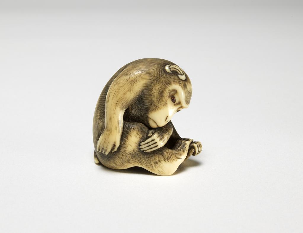 An image of Netsuke. A monkey resting; with eyes inlaid in a translucent brown material. Inscribed. Ivory, carved and stained, possibly amber eyes, height 4 cm. Japanese.
