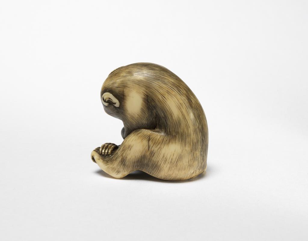An image of Netsuke. A monkey resting; with eyes inlaid in a translucent brown material. Inscribed. Ivory, carved and stained, possibly amber eyes, height 4 cm. Japanese.
