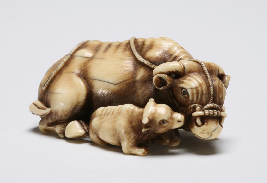 An image of Netsuke. A cow and her young both reclining, the calf is nuzzling up to her. Unknown carver, Japan. Ivory, carved, the eyes are inlaid with horn, 1980. 