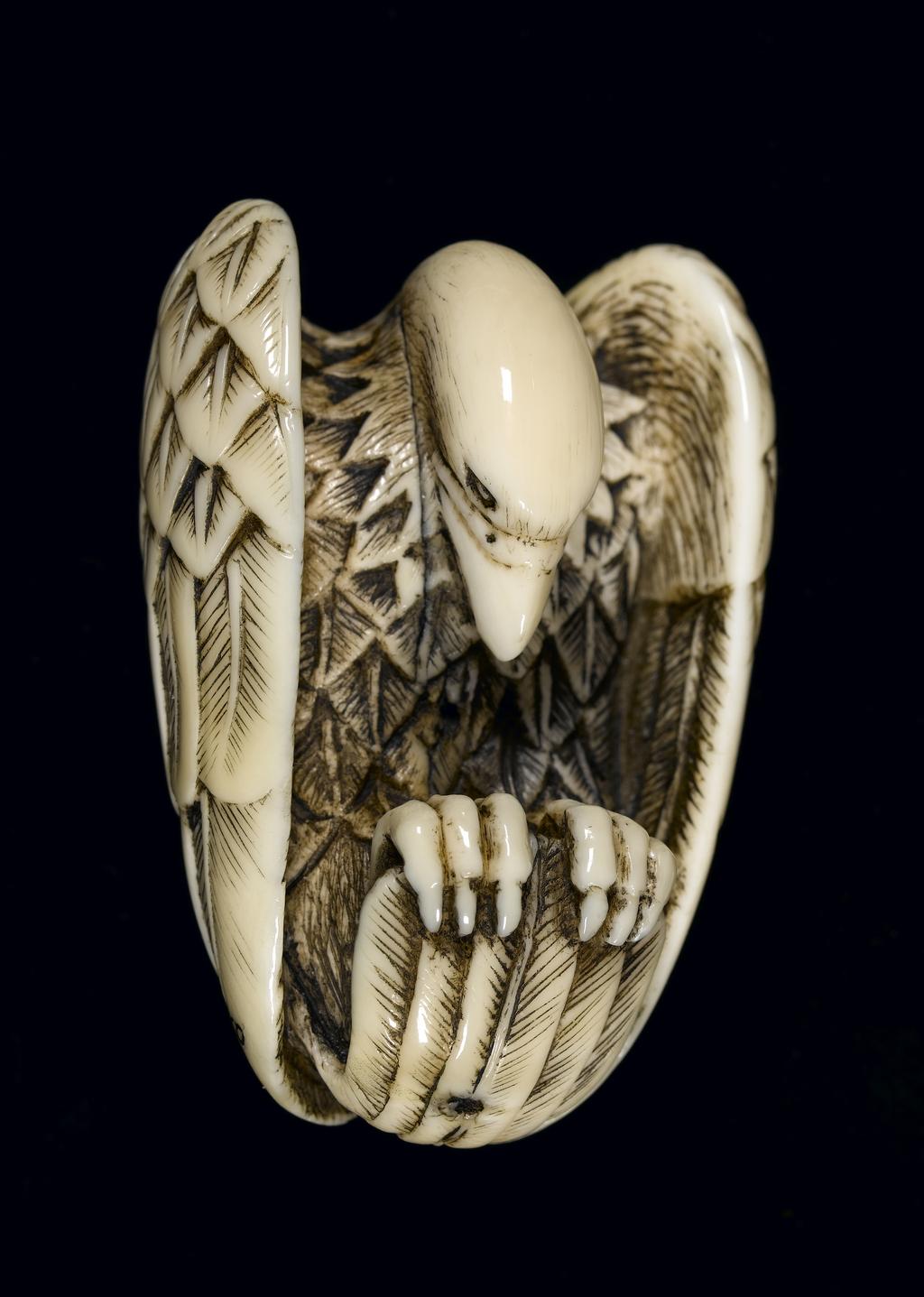 An image of Netsuke. An eagle holding on its own tail feather, its head dropping downwards. Ivory, carved, 1770-1830. Japanese. Edo Period (1615-1868).