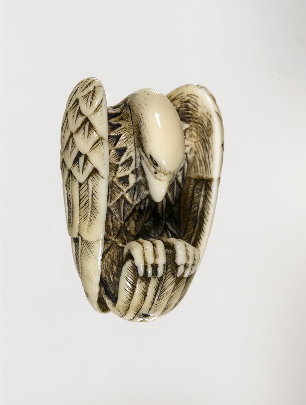 An image of Netsuke. An eagle holding on its own tail feather, its head dropping downwards. Ivory, carved, 1770-1830. Japanese. Edo Period (1615-1868).