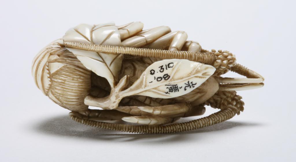 An image of Netsuke. An Ebi, the sea crayfish curled up its tail on a twig with two leaves. Unknown carver, Japan. Ivory, carved, the eyes are inlaid with glass, 1870-1930. Japanese.