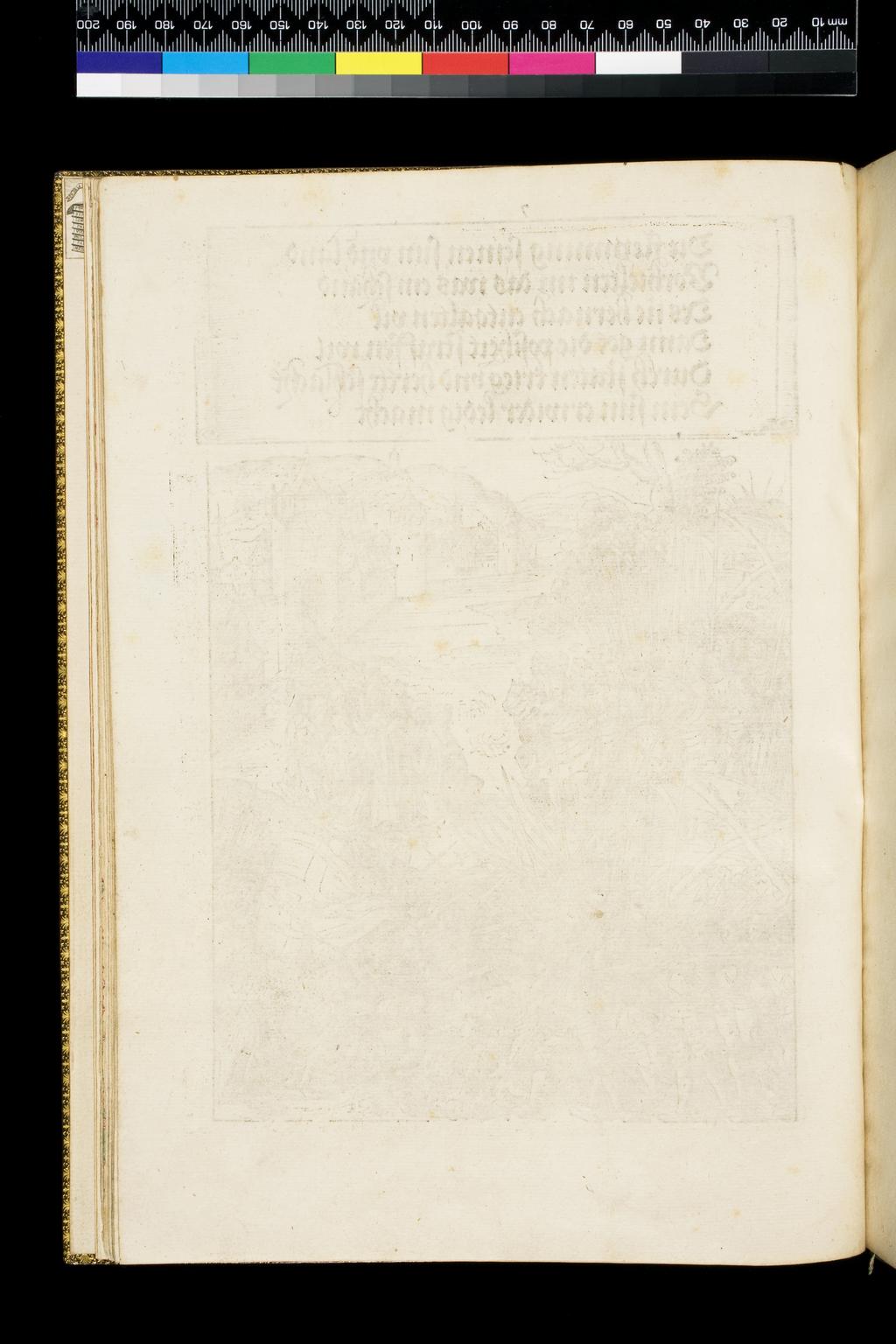 An image of 