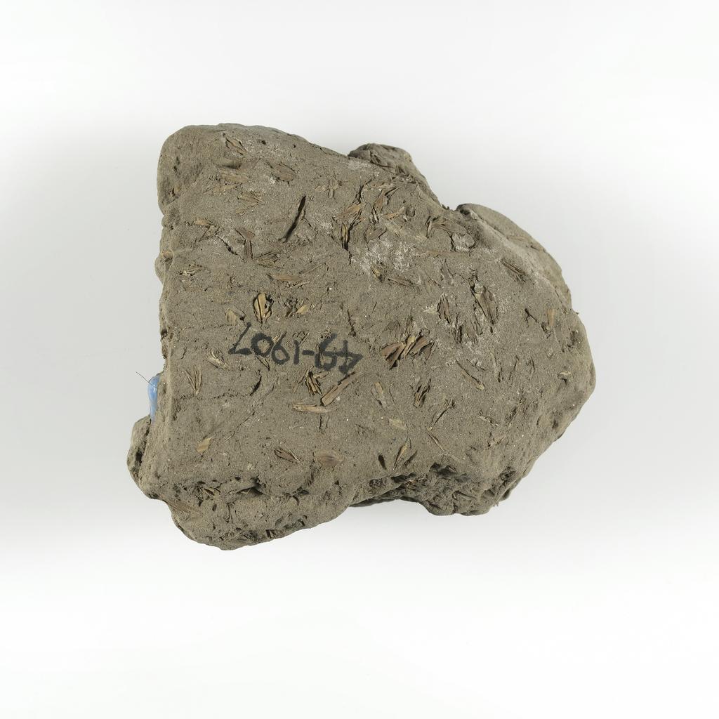 An image of Jewellery. Beads, embedded in mud. Find Spot: Thebes (Egypt), Deir el-Bahri. Height 0.07 m. Eighteenth Dynasty. New Kingdom.