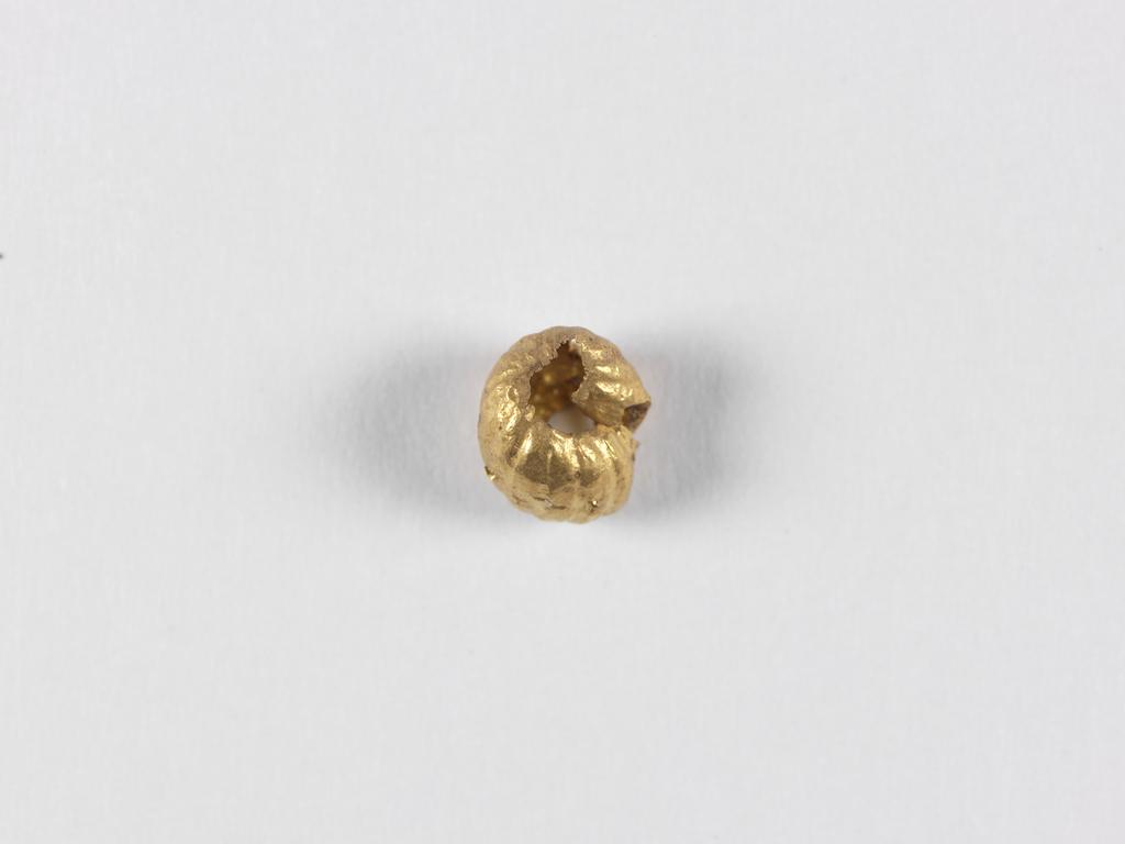 An image of Jewellery. Band. Find Spot: Cyprus. Gold, height 0.005 m, width 0.005 m. Classical Period.