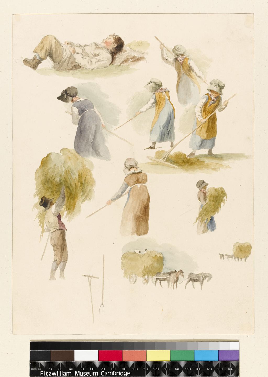 An image of Title/s: Studies of children haymaking Maker/s: Hills, Robert (draughtsman) [ULAN info: British artist, 1769-1844]Technique Description: graphite and watercolour on paper Dimensions: height: 303 mm, width: 228 mm