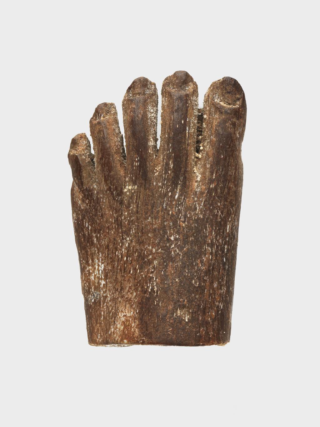 An image of Part of a left foot. Production Place: Egypt. Wood, height 0.012 m, length 0.029 m, width 0.015 m.