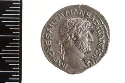 An image of Denarius
