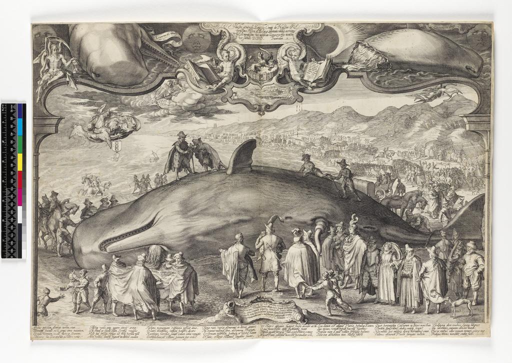 An image of Print Album. Beached whale near Beverwijk witnessed by Prince Ernest of Nassau. Saenredam, Jan (Dutch, 1565-1607). Engraving, in or after 1602. Production Notes: State II. Event happened on 13-01-1601.
