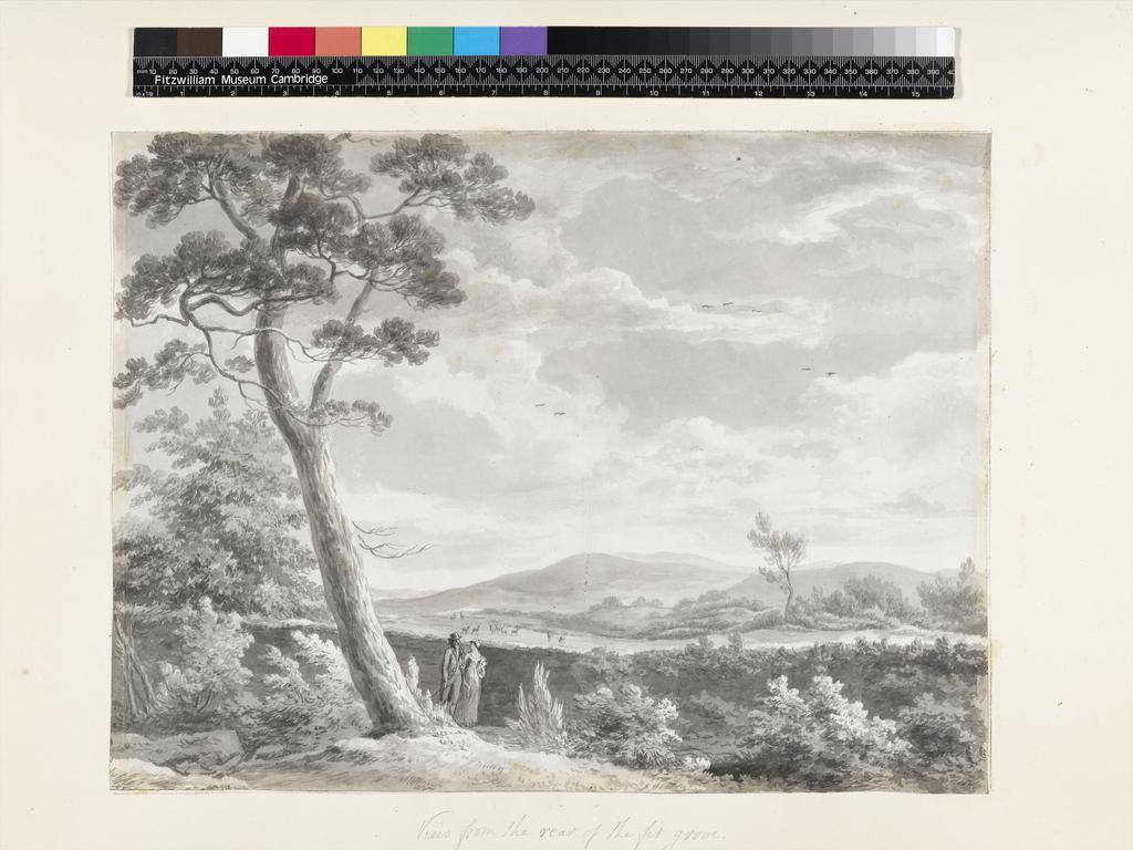 An image of Title/s: Mount Merrion: view from the rear of the fir grove (pag. 13) Maker/s: Ashford, William (draughtsman) [ULAN info: British artist, 1746-1824]Technique Description: grey wash on paper laid down on hollow mounts and bound with backing sheets Dimensions: height: 320 mm, width: 430 mmDate: 1806  