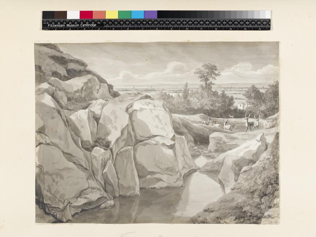 An image of Title/s: Mount Merrion: view near Mount Anoillegate (pag. 18) Maker/s: Ashford, William (draughtsman) [ULAN info: British artist, 1746-1824]Technique Description: grey wash on paper laid down on hollow mounts and bound with backing sheets Dimensions: height: 320 mm, width: 430 mmDate: 1806  