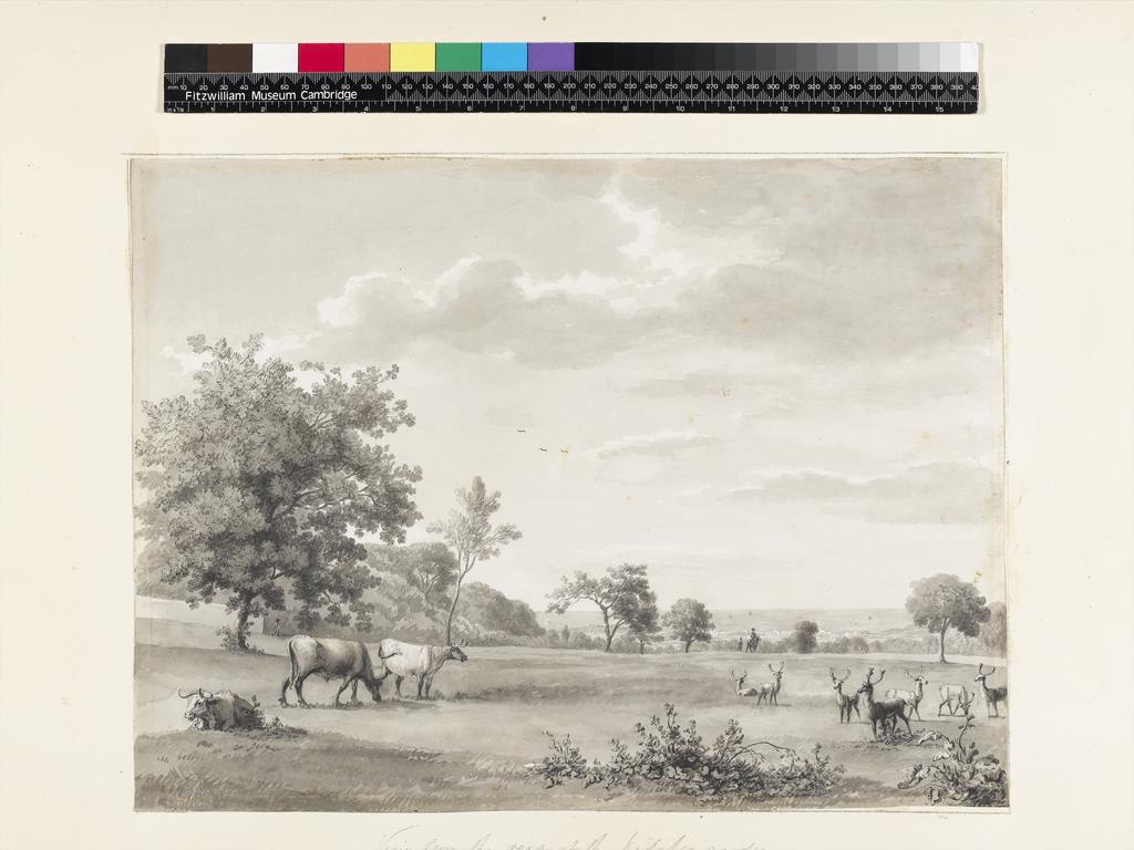 An image of Title/s: Mount Merrion: view from the rear of the kitchen garden (pag. 21) Maker/s: Ashford, William (draughtsman) [ULAN info: British artist, 1746-1824]Technique Description: grey wash on paper laid down on hollow mounts and bound with backing sheetsDimensions: height: 320 mm, width: 430 mmDate: 1806  
