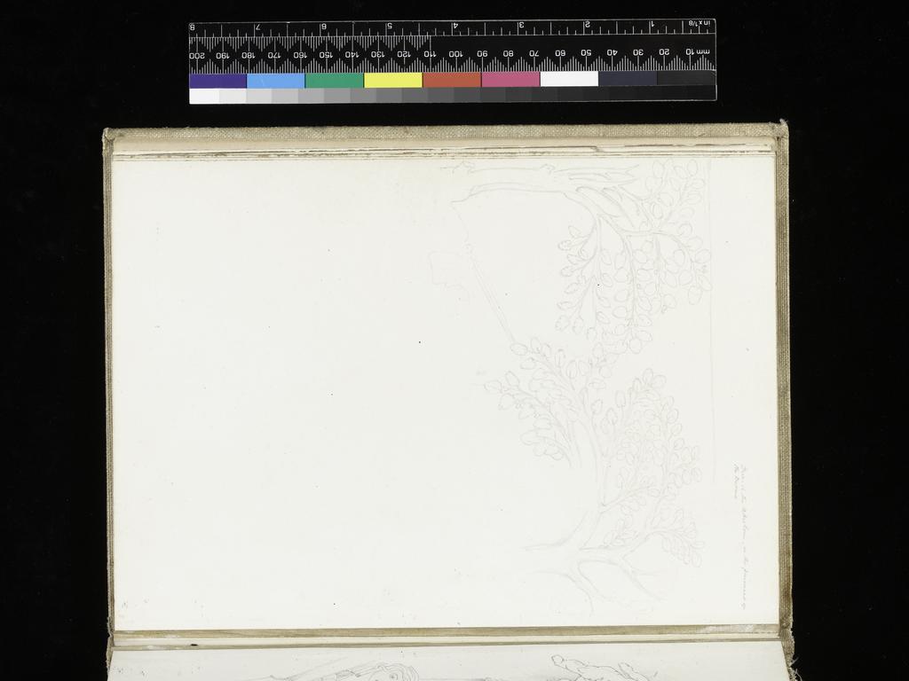 An image of Sketchbook. Recto: Copy of the lower left area from the story of Jephthah on the floor of the Duomo, composed of a wolf (?) coming out of a group of rocks, and at right, the hind end of a horse; below, copy of the area above the central figure. Verso: Sketch of the tops of the branches of the two trees. Burne-Jones, Edward (British, 1833-1898). Coverboards covered with white linen. Front cover has horizontal slits at the upper and lower right sides. Off-white paper. Collocation: each sheet is separately taped to the binding; there are 28ff and a single beige sheet on either side of these. Front and back leaves are blank, recto and verso. Height, sheet size, 179 mm, width, sheet size, 254, mm, 1873.