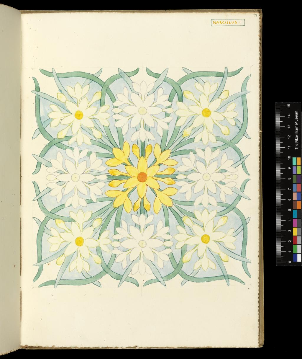An image of Recto: Narcissus. Verso: Blank. Bicknell, Clarence (British, 1842-1918). Watercolour over traces of graphite, surrounded by graphite line on all sides, on paper, height, leaf, 325 mm, width, leaf, 230 mm, 1911. Part of vellum bound sketchbook with brown leather cover details and closure straps. Contains 76 leaves. Front cover has a vertical rectangular box containing an acorn and oak leaf design in red and green inks, with the initials 'M.B.' (Margaret Berry).