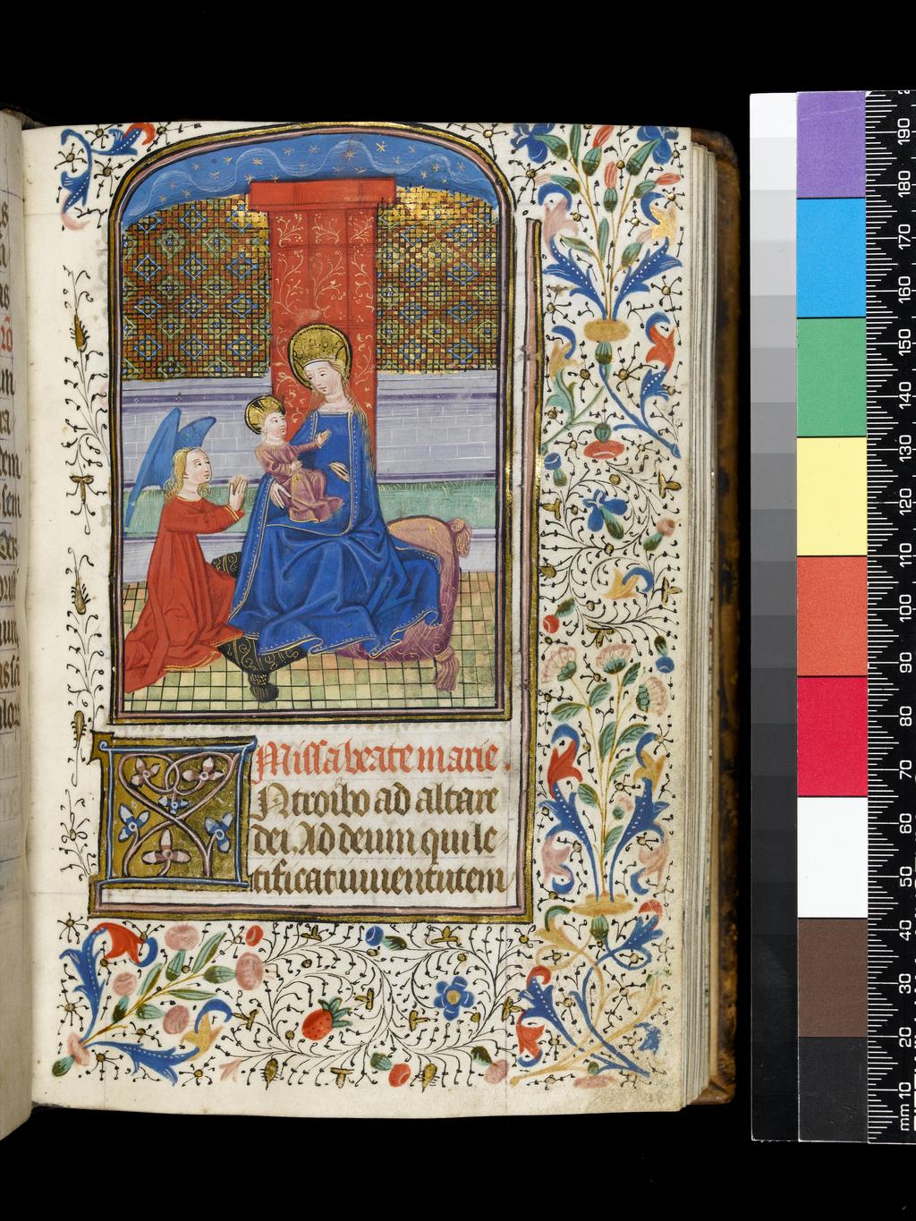 An image of Binding (back cover & spine) of Ms 1-1974