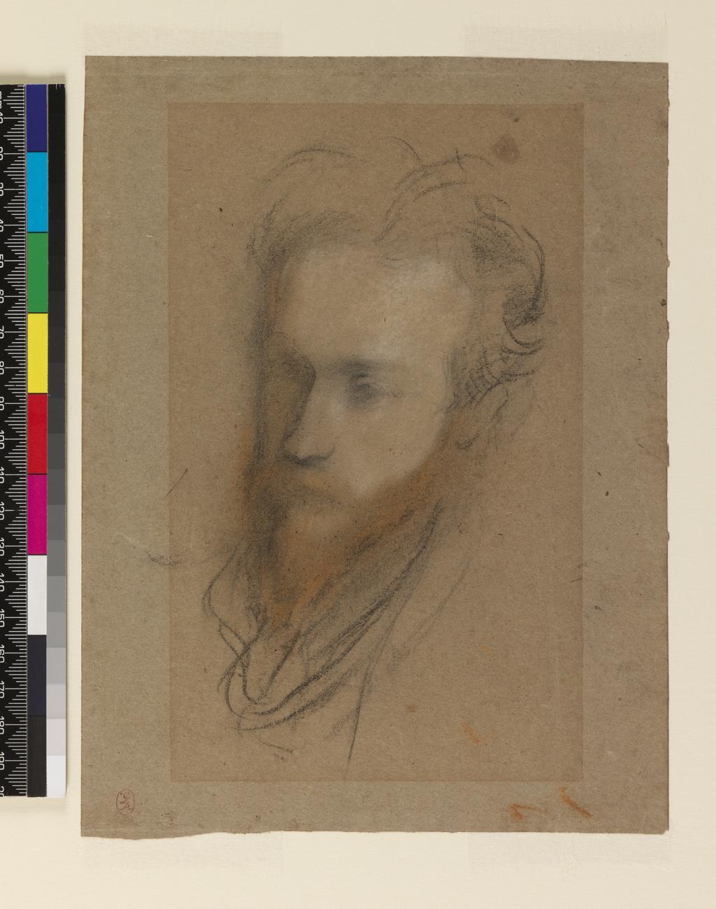 An image of Portrait study of Charles Ricketts. Rothenstein, William (British, 1872-1945). Black and red chalk, 1894. Batchelor Collection.
