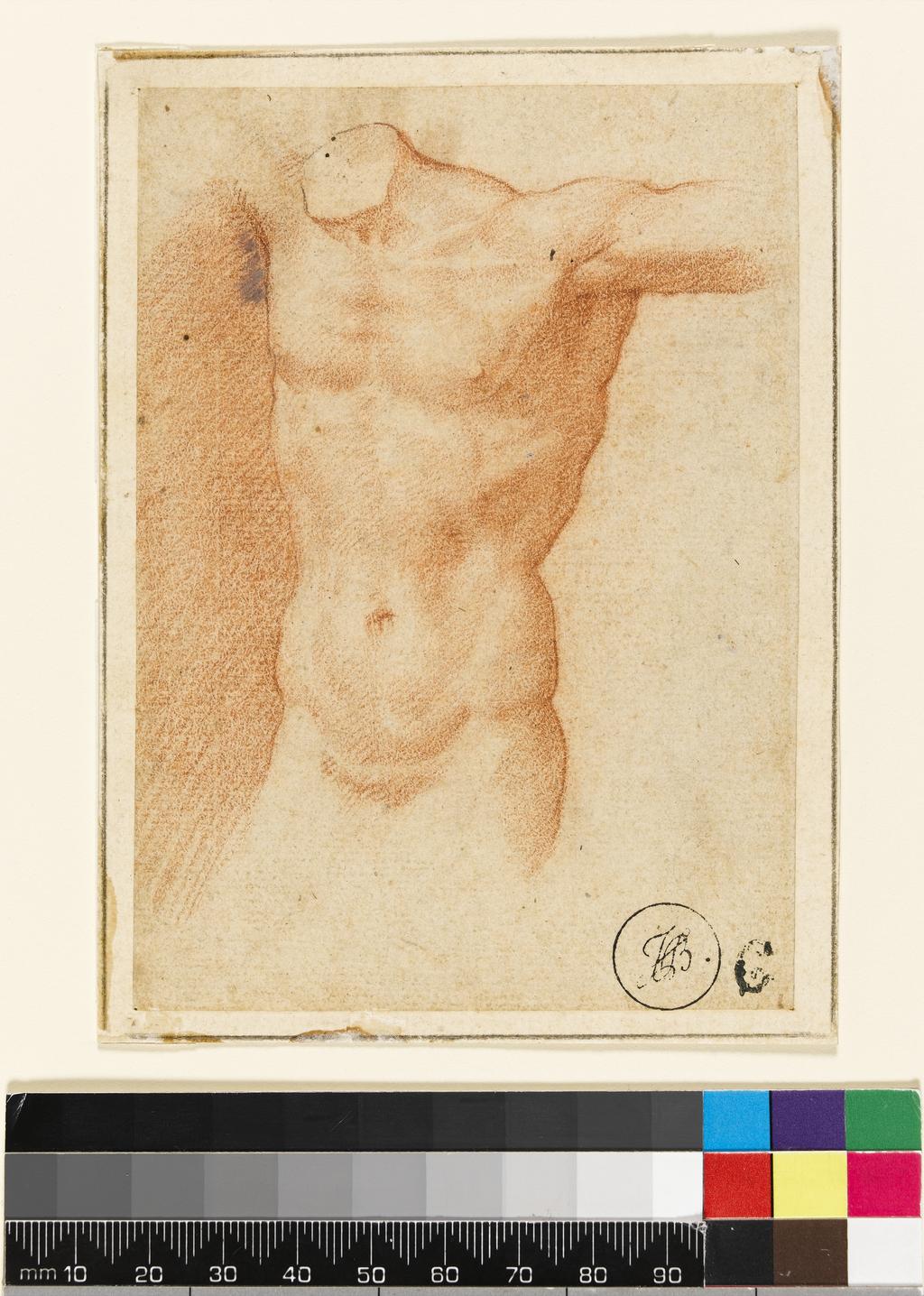An image of Title/s: Nude male torso Maker/s: Morandini, Francesco (il Poppi) (draughtsman) [ULAN info: Italian artist, 1544-1597]Technique Description: red chalk on paper Dimensions: height: 125 mm, width: 88 mm