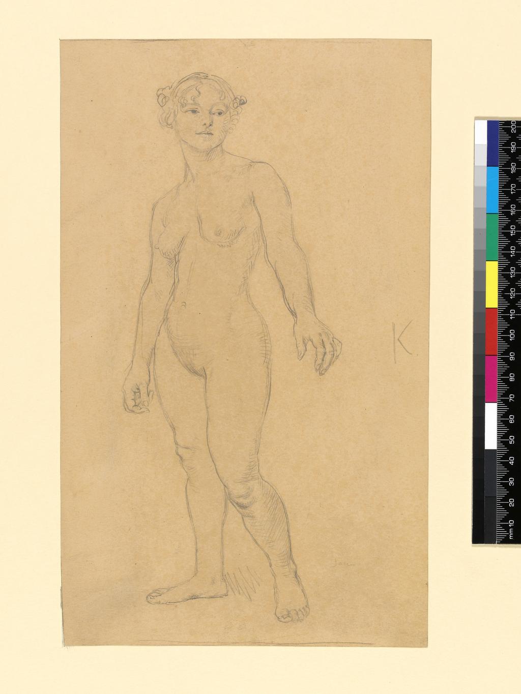 An image of Standing Female Nude. Augustus Edwin. Graphite on paper, height 291 mm, width 177 mm.