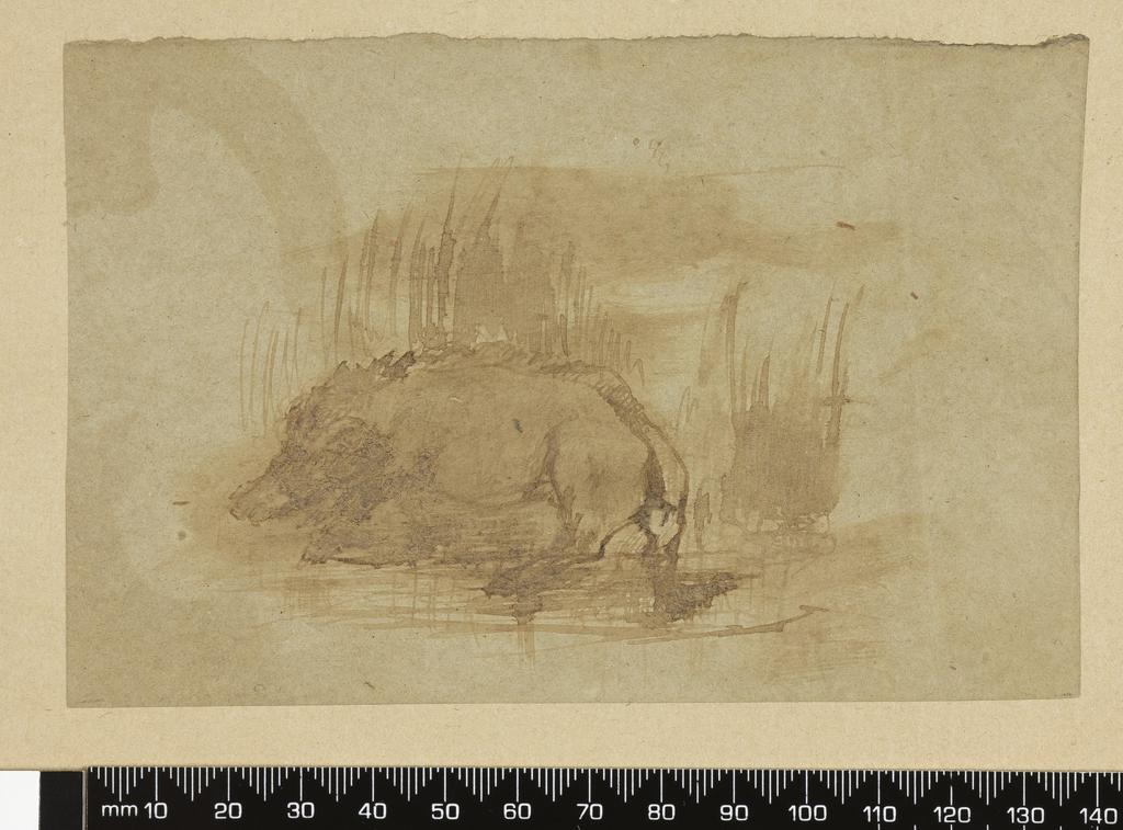 An image of Study for 'Le Sanglier'. Degas, Edgar (French, 1834-1917). Brown wash on paper, height 93 mm, width 142 mm.