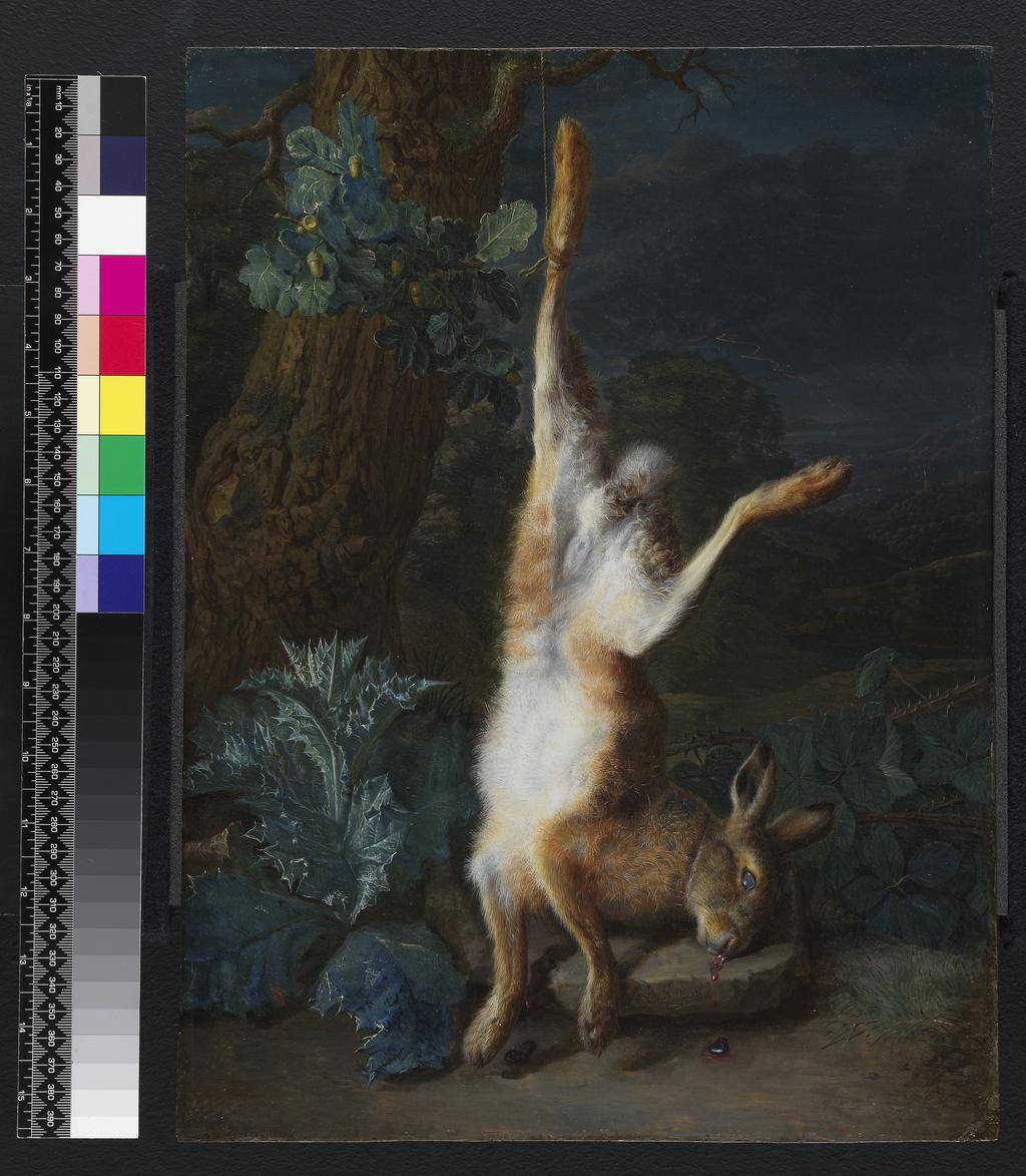 An image of A dead hare. Snyers, Peeter (Flemish, 1681-1752). Oil on copper, height 41.5 cm, width 30.9 cm.
