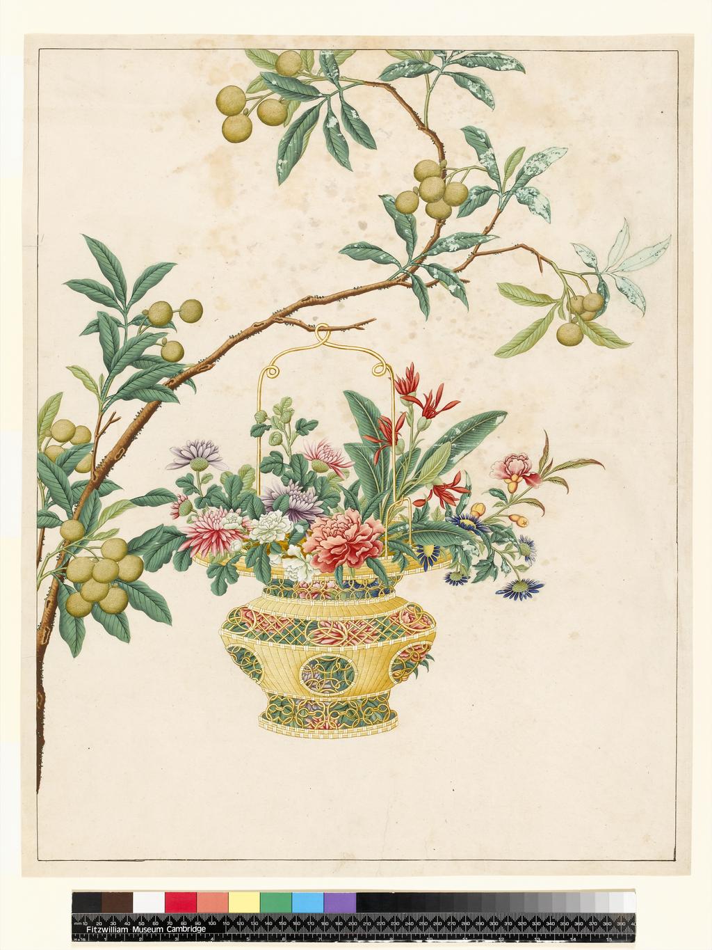 An image of Flowers in a lantern which hangs from the branch of a fruit tree. Bodycolour on paper, height 598 mm, width 476 mm, circa 1820. Chinese.