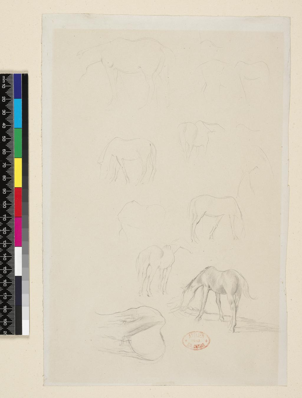 An image of Studies of a pony. Degas, Edgar (French, 1834-1917). Graphite on paper, height 285 mm, width 189 mm, circa 1871. Notes: or perhaps a study for Deux chevaud au Pâturage.