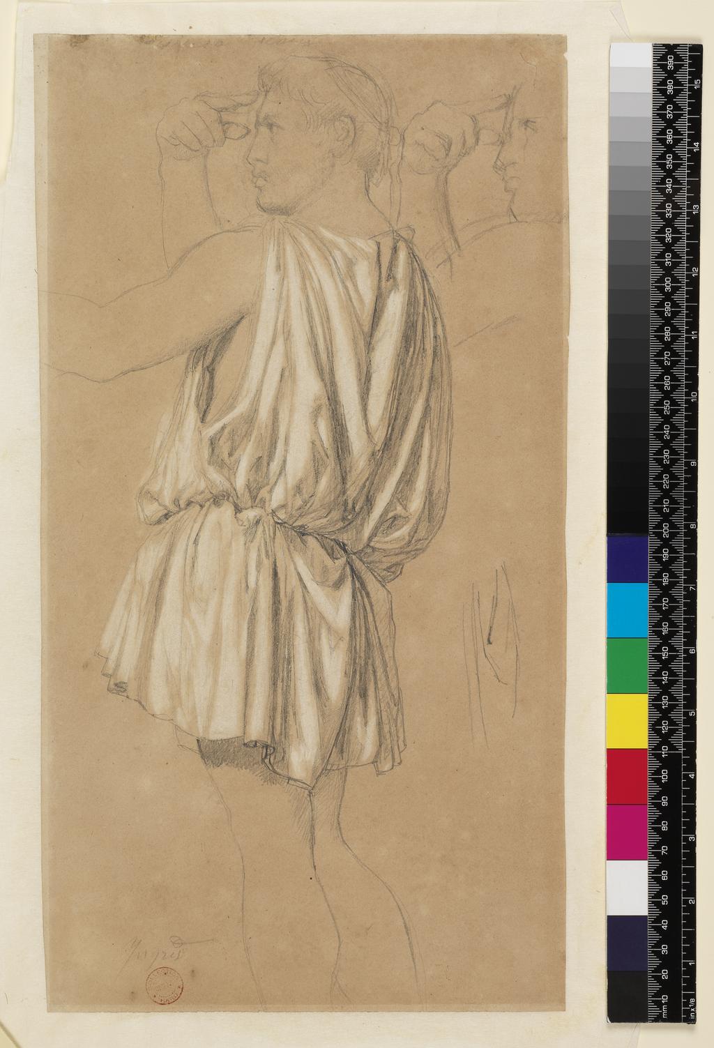 An image of Study for the figure of Phidias in 'The Apotheosis of Homer'. Ingres, Jean Auguste Dominique (French, 1780-1867). Graphite and bodycolour on buff paper, height 398 mm, width 213 mm.