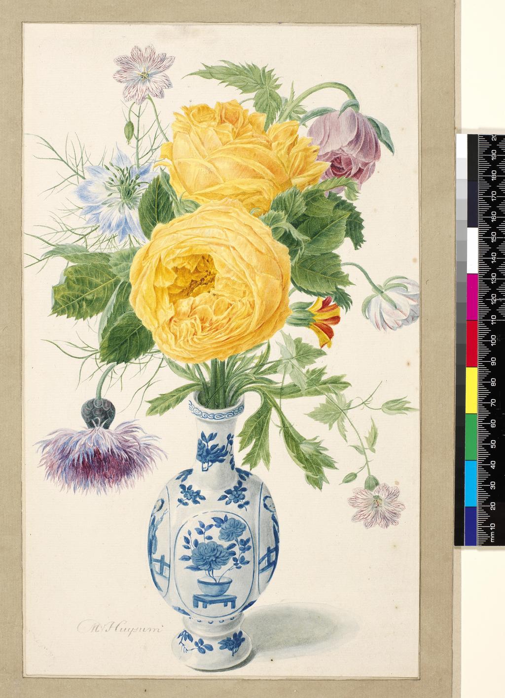 An image of A Chinese porcelain vase of the K'ang-hsi period (1662-1722) decorated underglaze in blue, contains yellow roses and Love-in-the-mist. Huysum, Michiel van (Dutch, op.1729-1760). Watercolour and gum Arabic over graphite on paper, height, paper, 318 mm, width, paper, 191 mm, 18th Century.