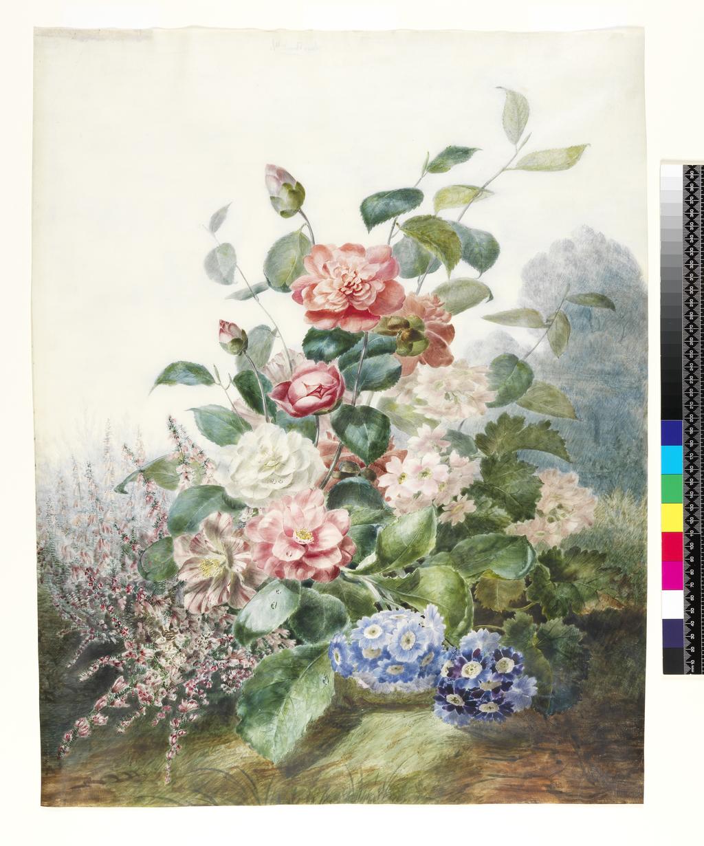 An image of Various Flowers Growing in a Landscape Setting. Pascal, Antoine (French, 1803-1859). Watercolour on vellum. Height: 604 mm, width: 470 mm. 19th Century.
