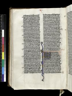 An image of MS McClean 137_f113r_201208_mdb56_mas.tif