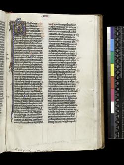 An image of MS McClean 137_f113r_201208_mdb56_mas.tif