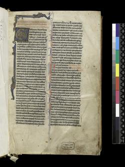 An image of MS McClean 137_f113r_201208_mdb56_mas.tif