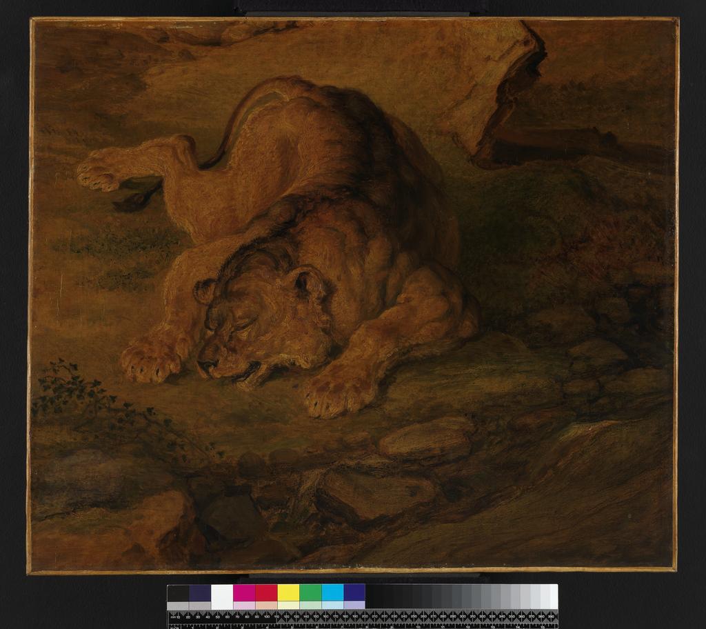 An image of Sleeping lioness. Ward, James (British, 1769-1859). Oil on canvas, height, 38.1, cm, width, 59.1, cm, 1840-1850.
