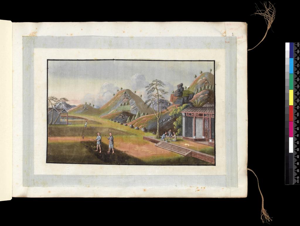 An image of Album: Tea-making. Hoeing the fields. Youqua (Chinese, ac.1840-1870). Album containing 12 watercolours (foilios 1-12) on pith paper with two blank foilios (front and back, unnumbered). Watercolour, bodycolour, and ink with heightening in white on pith paper, laid down with with strips of blue silk-covered paper, height 250 mm, width 337 mm, 19th century. Chinese. Production Note: Export album made for the Western market.