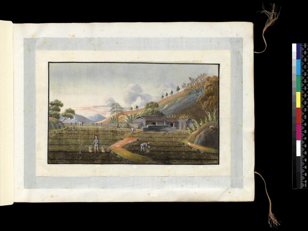 An image of Album: Tea-making. Cultivating the plants. Youqua (Chinese, ac.1840-1870). Album containing 12 watercolours (foilios 1-12) on pith paper with two blank foilios (front and back, unnumbered). Watercolour, bodycolour, and ink with heightening in white on pith paper, laid down with with strips of blue silk-covered paper, height 250 mm, width 337 mm, 19th century. Chinese. Production Note: Export album made for the Western market.