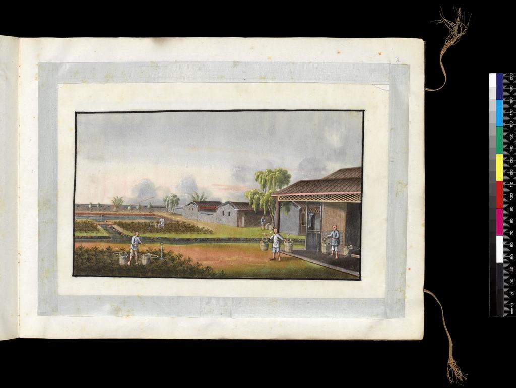 An image of Album: Tea-making. Watering the plants. Youqua (Chinese, ac.1840-1870). Album containing 12 watercolours (foilios 1-12) on pith paper with two blank foilios (front and back, unnumbered). Watercolour, bodycolour, and ink with heightening in white on pith paper, laid down with with strips of blue silk-covered paper, height 250 mm, width 337 mm, 19th century. Chinese. Production Note: Export album made for the Western market.