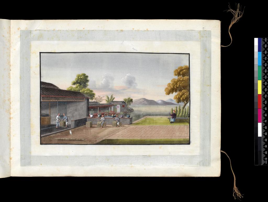An image of Album: Tea-making. Packing the tea. Youqua (Chinese, ac.1840-1870). Album containing 12 watercolours (foilios 1-12) on pith paper with two blank foilios (front and back, unnumbered). Watercolour, bodycolour, and ink with heightening in white on pith paper, laid down with with strips of blue silk-covered paper, height 250 mm, width 337 mm, 19th century. Chinese. Production Note: Export album made for the Western market.
