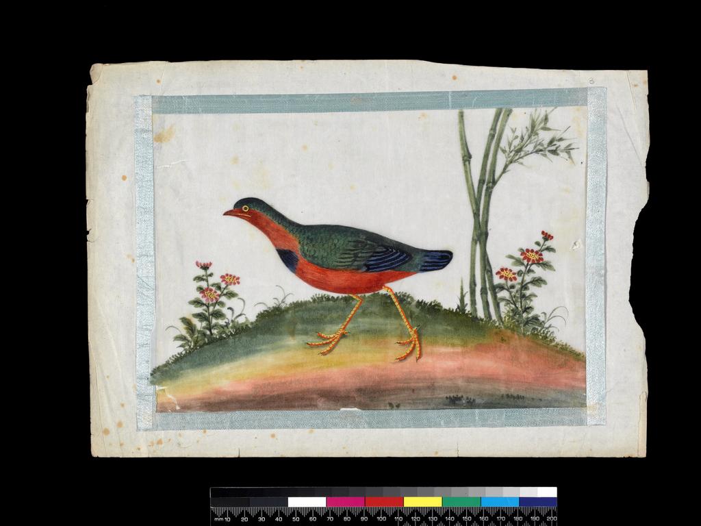 An image of Album: Manchu Officials with four additional drawings of birds. Youqua (Chinese, ac.1840-1870). Album containing 16 watercolours on pith paper (including 4 loose folios). Paper, silk, height 337 mm, width 250 mm, 19th century. Chinese. Production Note: Export album made for the Western market.