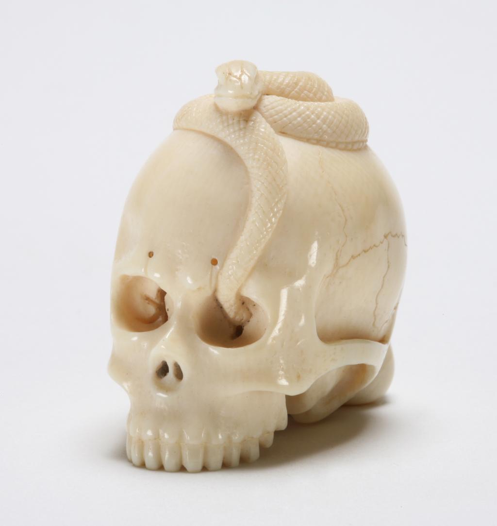 An image of Netsuke. A skull with a snake resting on top, after emerging from the eye socket. Unknown carver, Japan. Ivory, carving, 1900-2000.